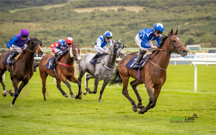 Horses Racing down the track at ffos las