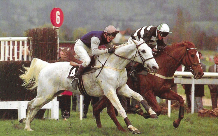 A white horse races down the track
