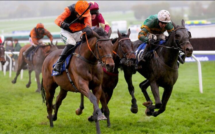 Tobefair running at Ffos Las Racecourse