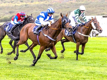 £1 raceday at Ffos Las racecourse