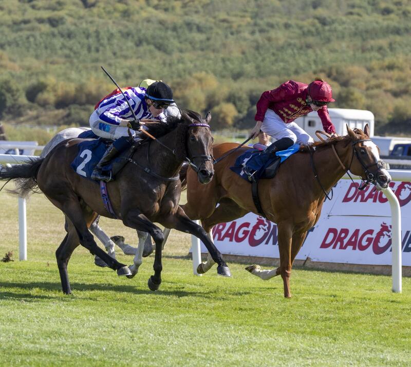 Jockeys focus on the finish line as they race down the track at Ffos Las