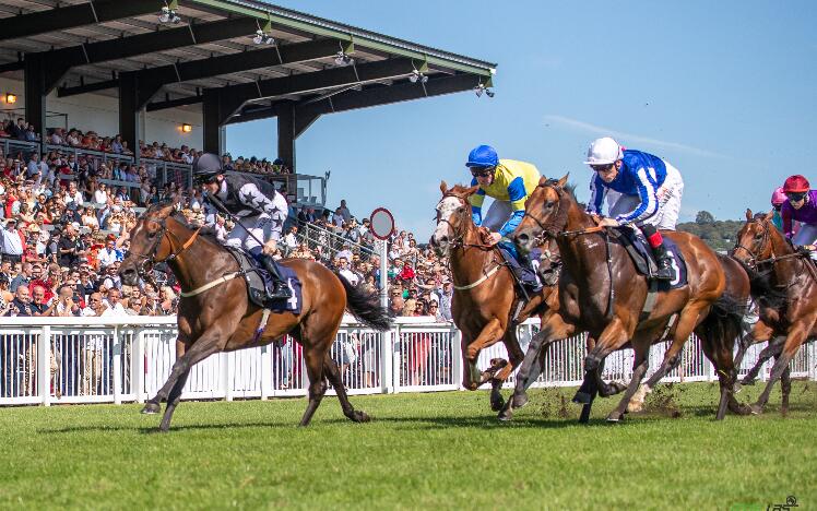 Horse Racing at Ffos Las Racecourse