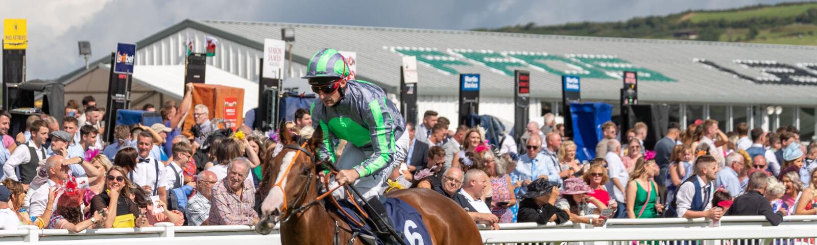 Horse and jockey make their way past the Ffos Las crowd and bookmakers