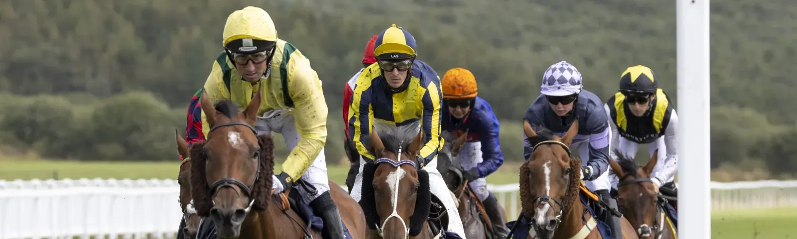 Jockeys focus on the finish post as they race at Ffos Las