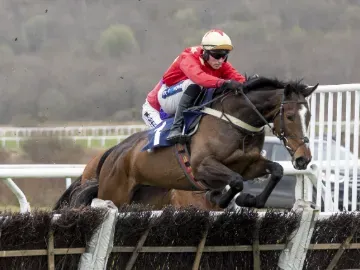 A horse taking on a jump on track at Ffos Las