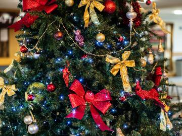 A close up of a beautifully decorated Christmas tree