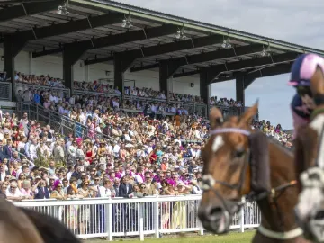 The packed grandstand at Ffos Las Racecourse watching a race