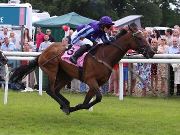 Ffos Las Racecourse | Ffos Las Races | South Wales