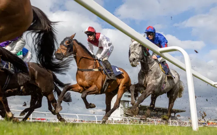Horses race round the track at Ffos Las shown from a viewpoint low down to the track