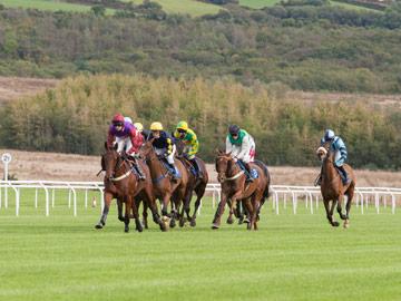 Whats On | Fixtures | Ffos Las Racecourse