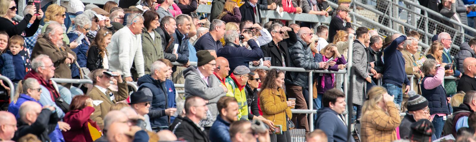 Crowds at Ffos Las Racecourse