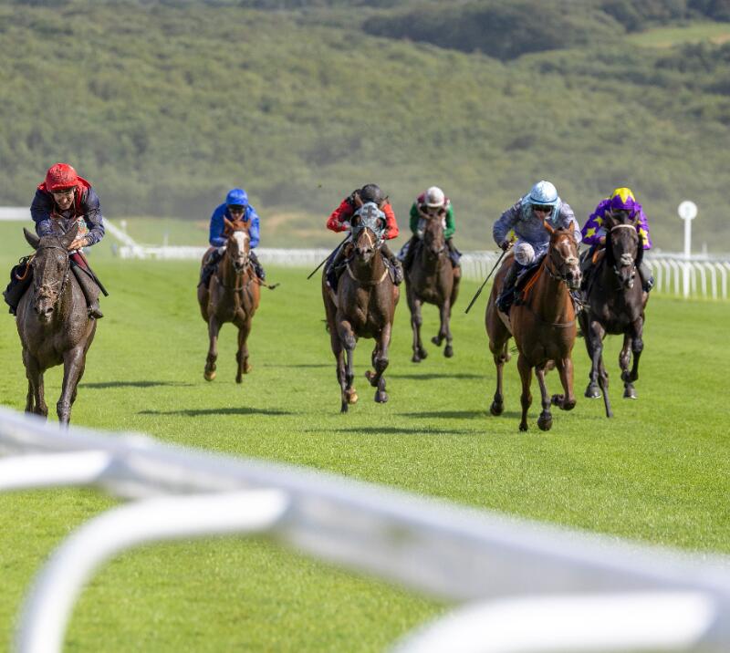 Jockeys mid-race at Ffos Las Racecourse
