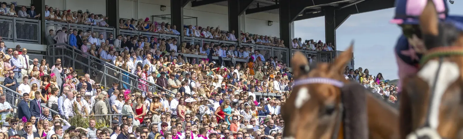 The packed grandstand at Ffos Las Racecourse watching a race
