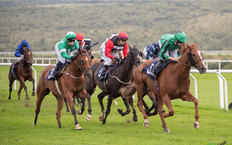 Horses race down the track