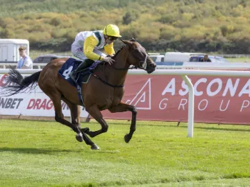 A solo horse and jockey flying down the turf track at Ffos Las