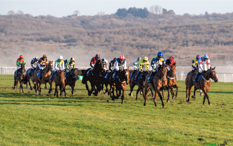 Horses race down the track