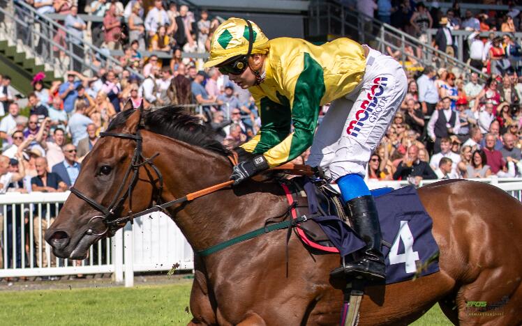 Flat racing at Ffos Las Racecourse