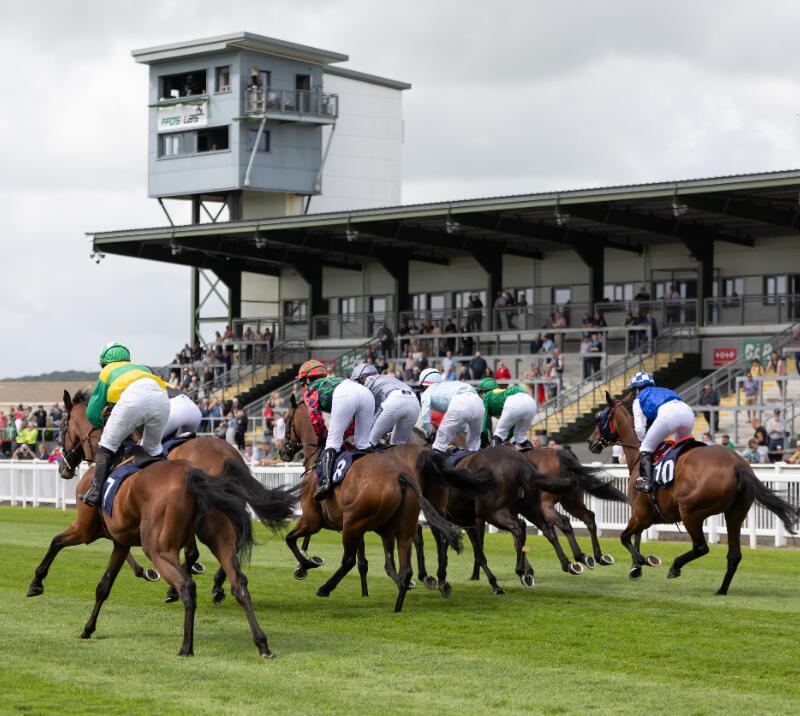 Race horses speed by the grandstand at Ffos Las Racecourse