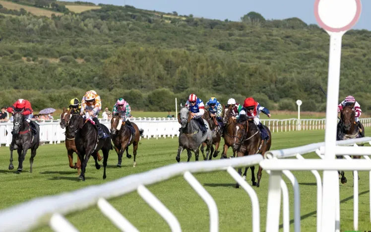The sun shines on the track at Ffos Las, as horses race around the track